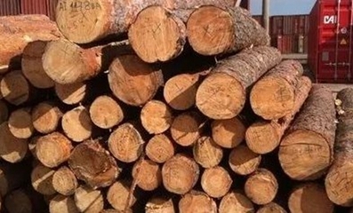 2020年即将过半,疫情下的木材市场将如何发展?