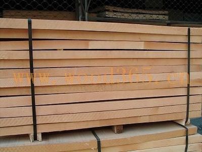 潍坊订、现货销售德国榉木板材和原木-European Hardwood Timber(China) Office